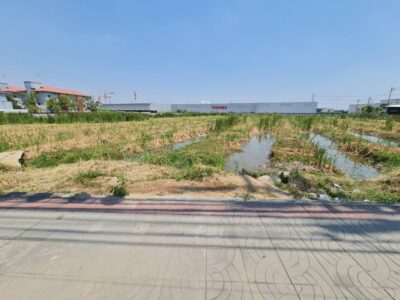 ขายที่ดิน ถนนติวานนท์ (นิคมบางกะดี)